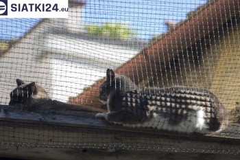 Siatki Mogilno - Siatka na balkony dla kota i zabezpieczenie dzieci dla terenów Mogilna